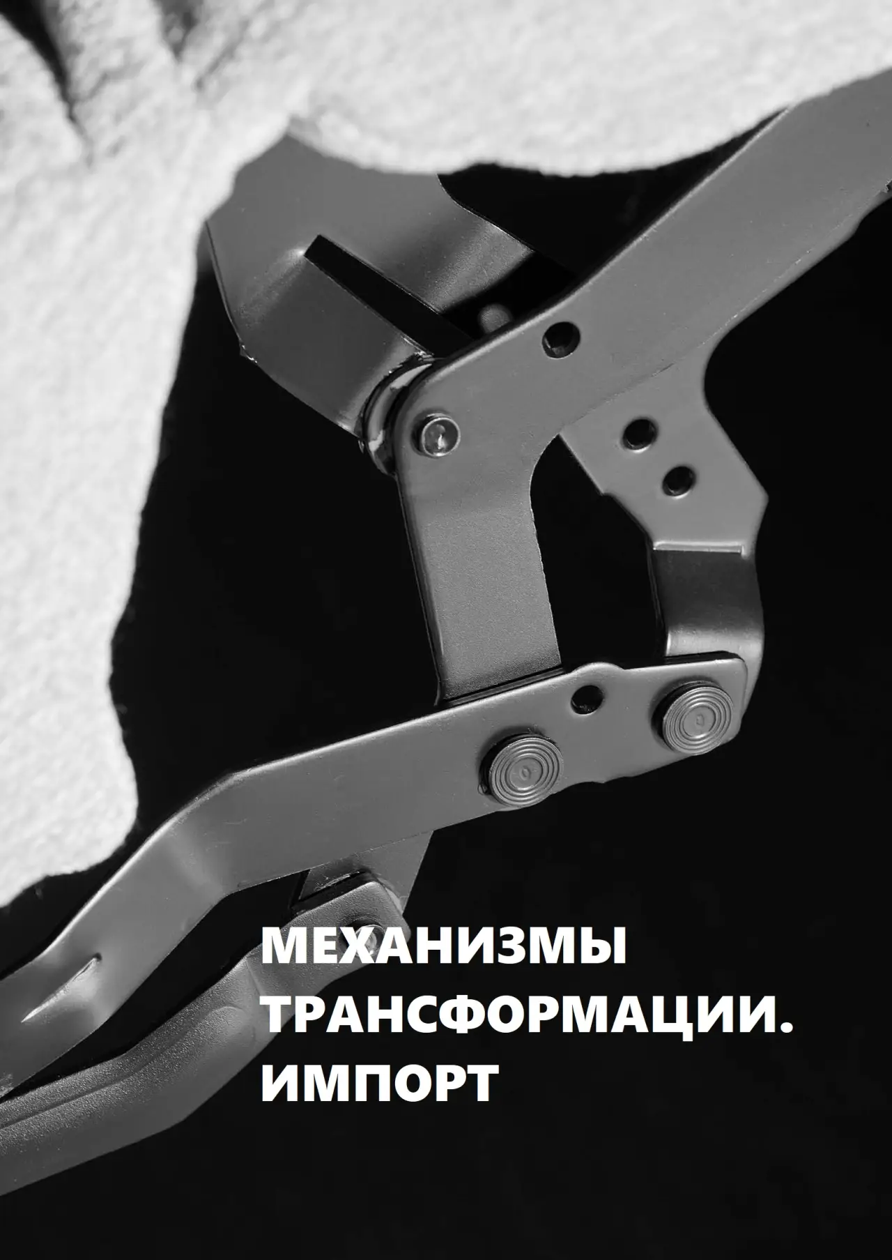 МЕХАНИЗМЫ ТРАНСФОРМАЦИИ.ИМПОРТ