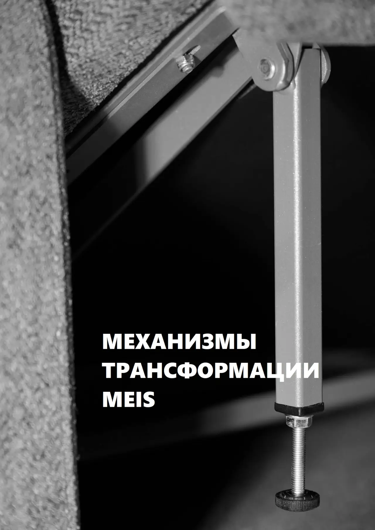 МЕХАНИЗМЫ ТРАНСФОРМАЦИИ МЕИС